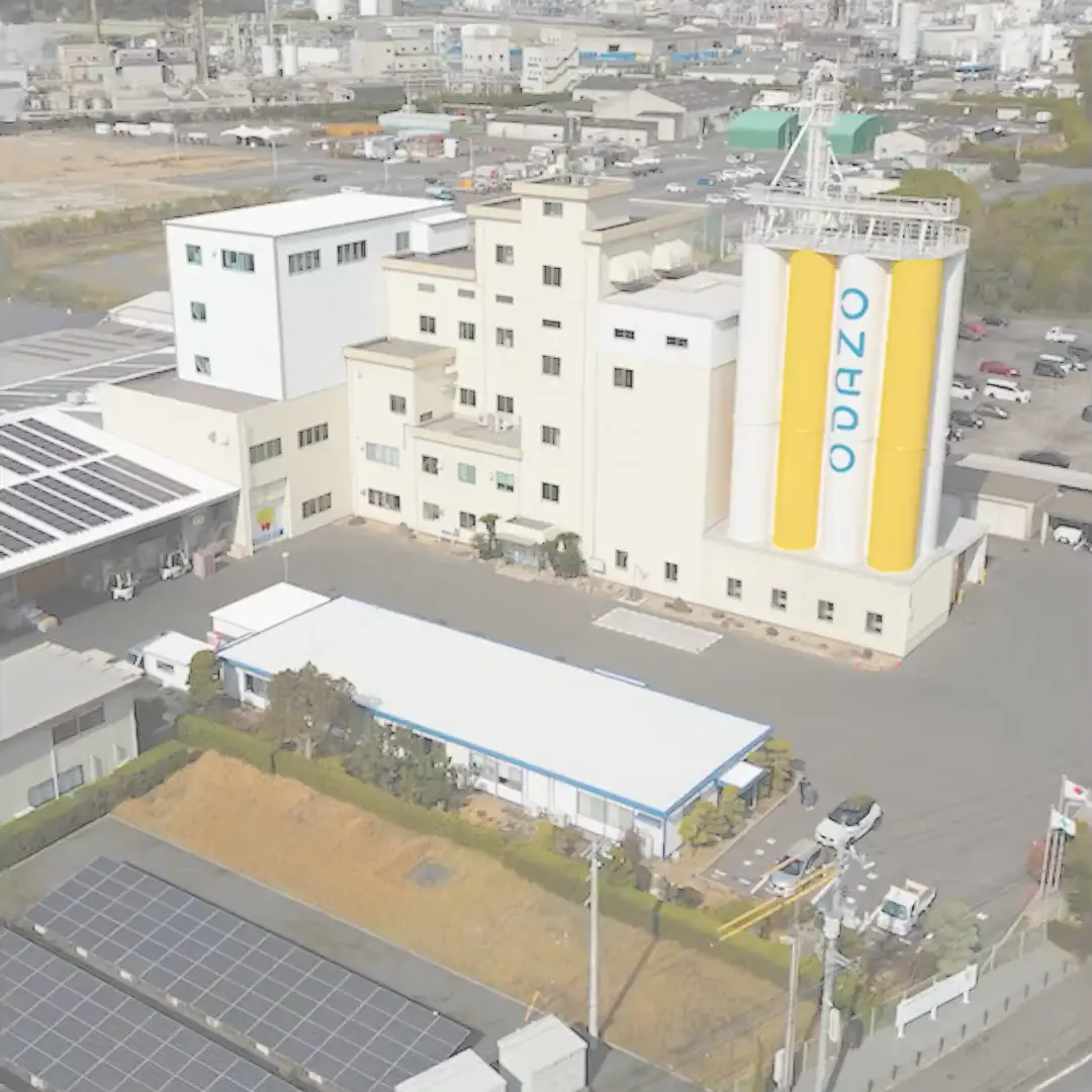 小麦の無限の可能性に挑戦する - ODAZO 小田象製粉株式会社